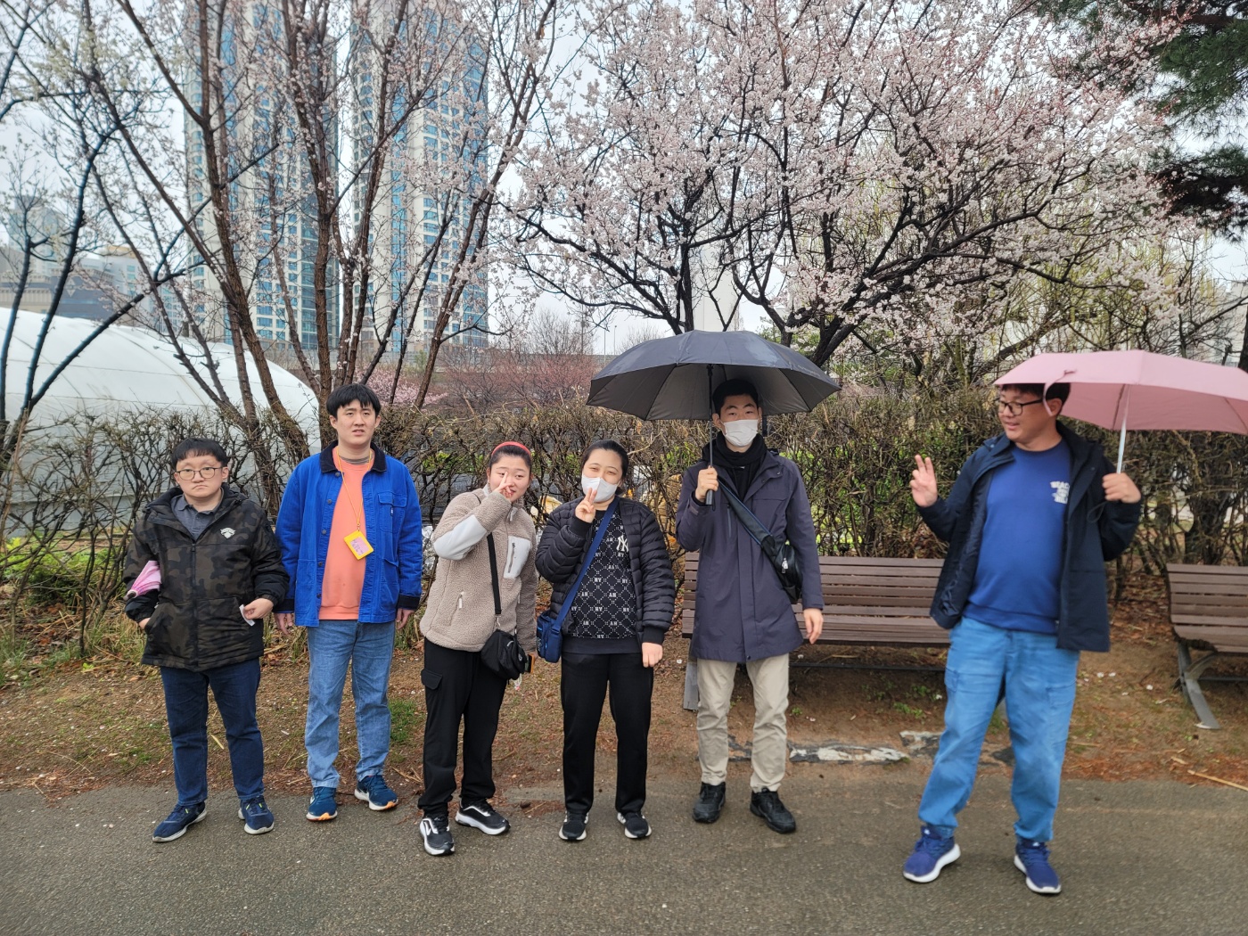 589d68a8d121f.jpg