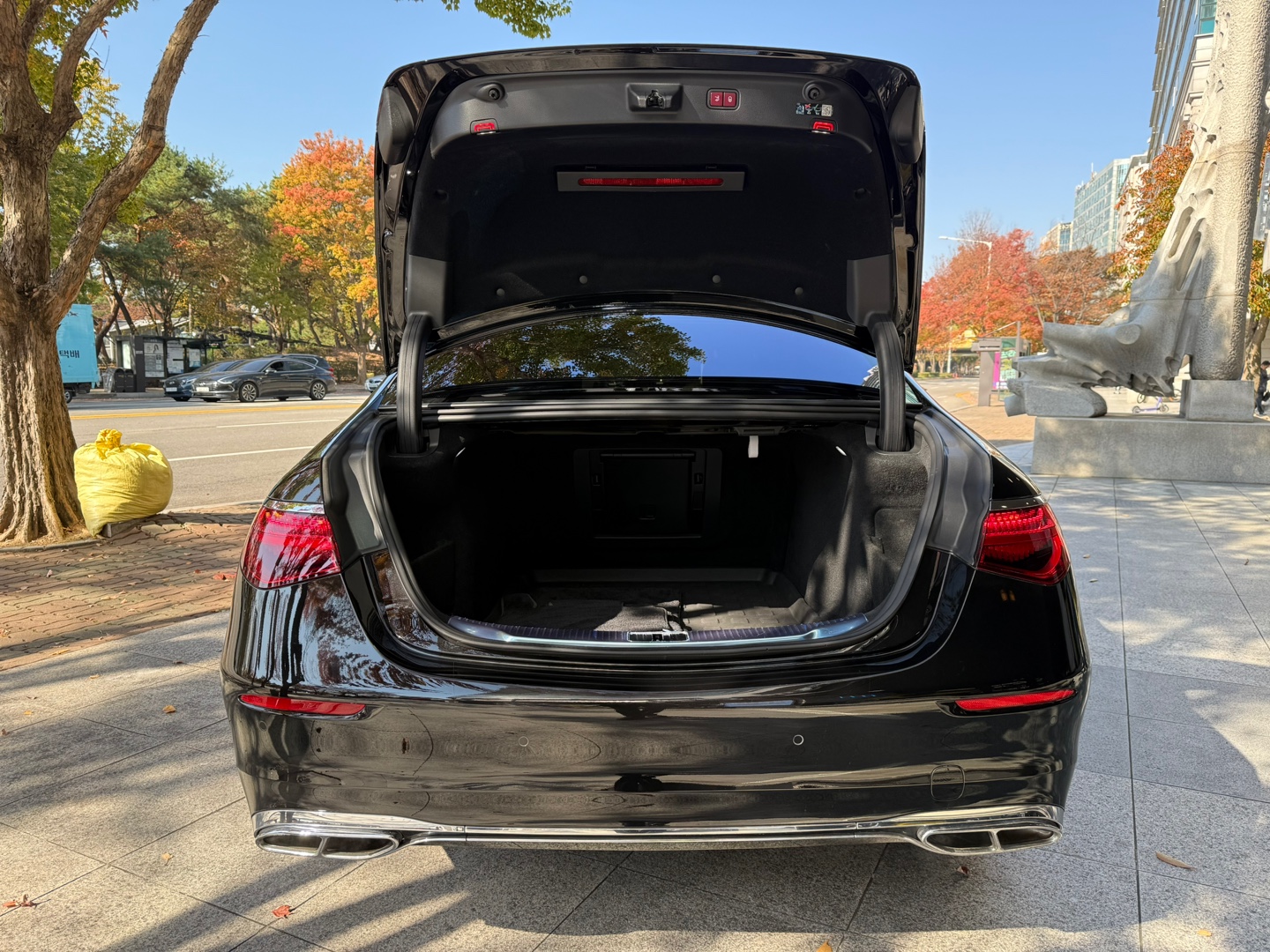 667e36a486ccf.jpg