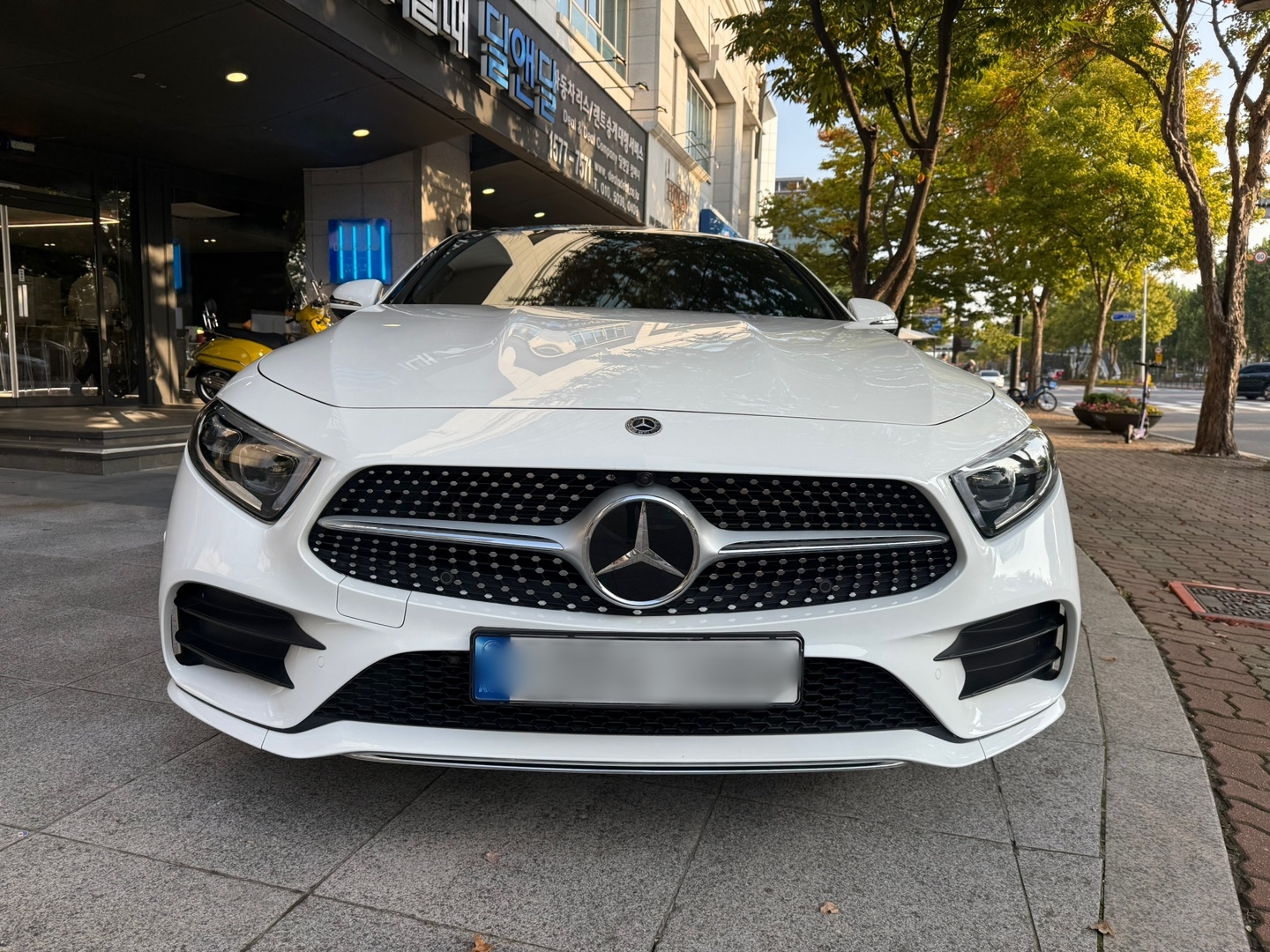 dc5a7db524384.jpg