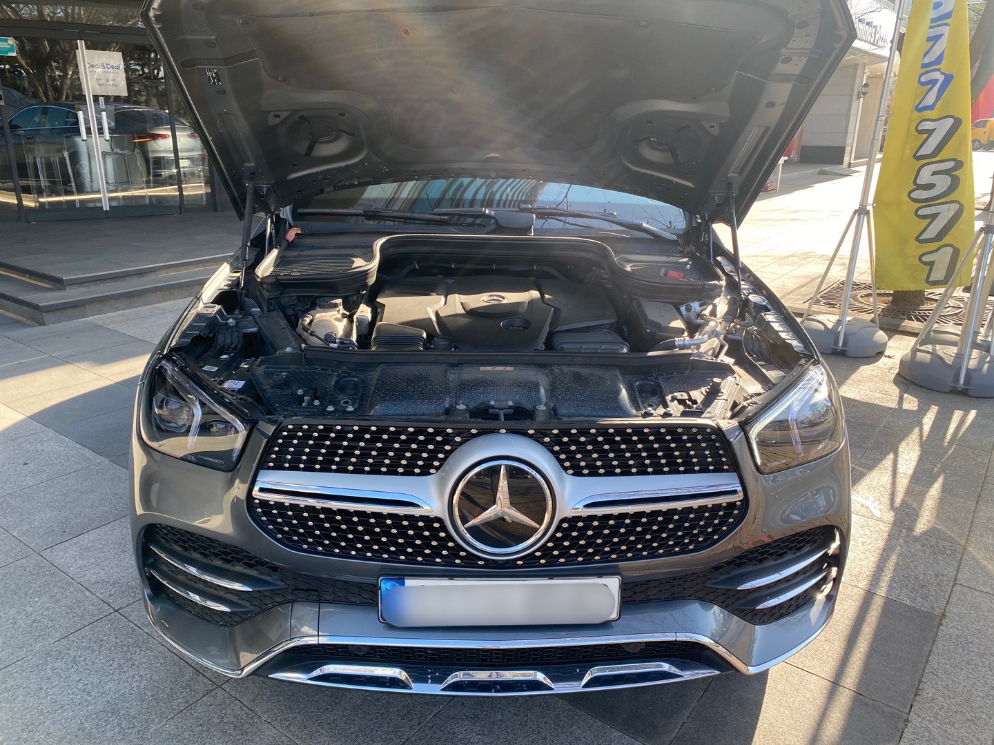e2582e88db9b6.jpg