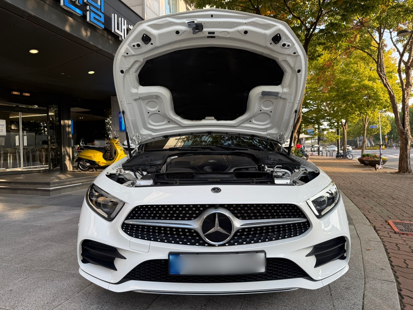 fa85f60b8d468.jpg