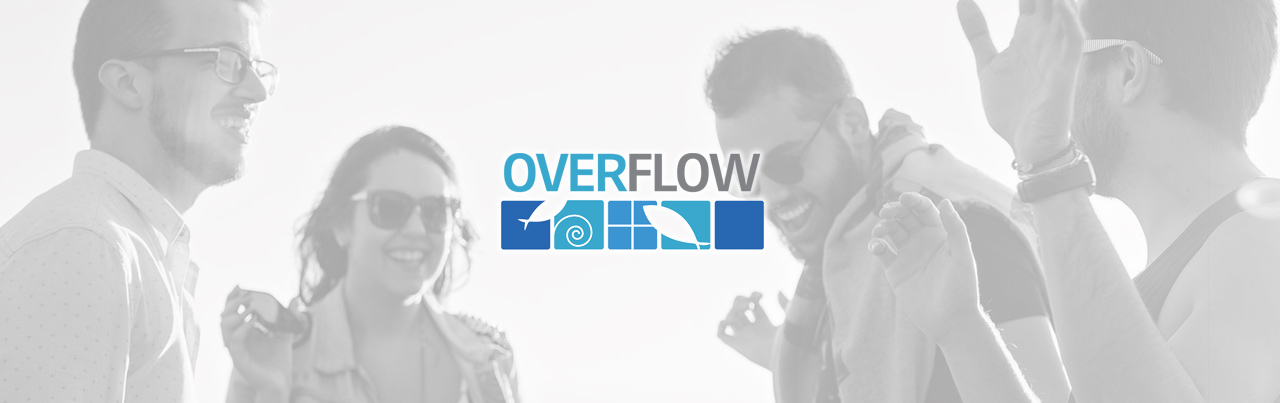 Overflow main image