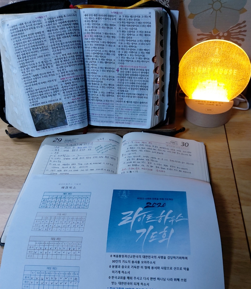 9a2d3ccc1773f.jpg