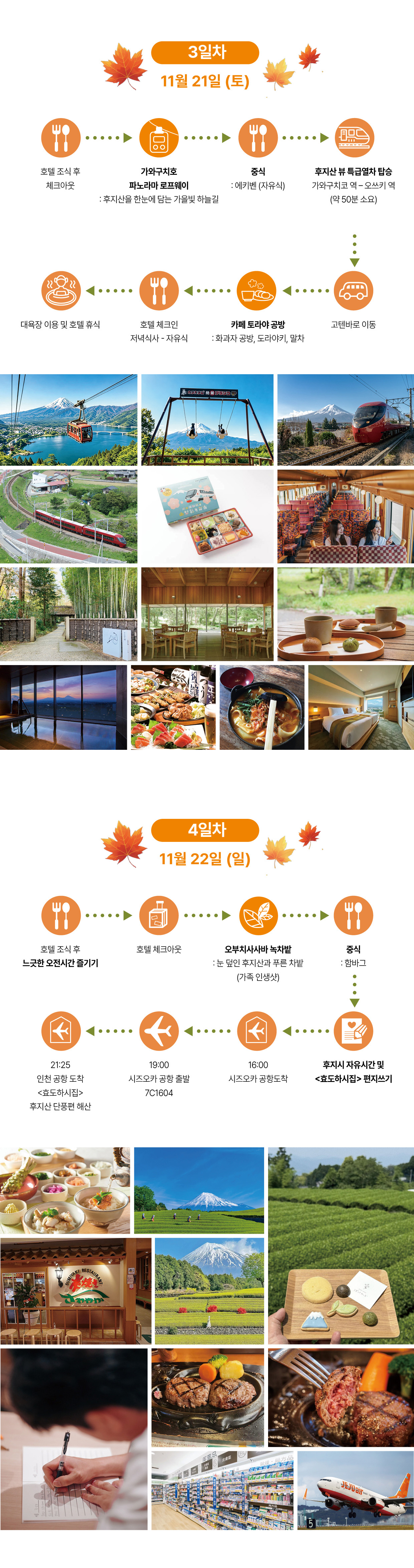 효도하시집 5기 『후지산 단풍』 11/19 ~ 22 3박4일