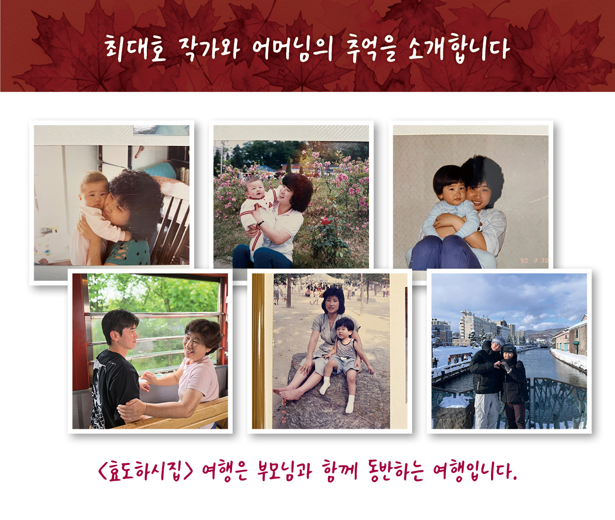 효도하시집 5기 『후지산 단풍』 11/19 ~ 22 3박4일