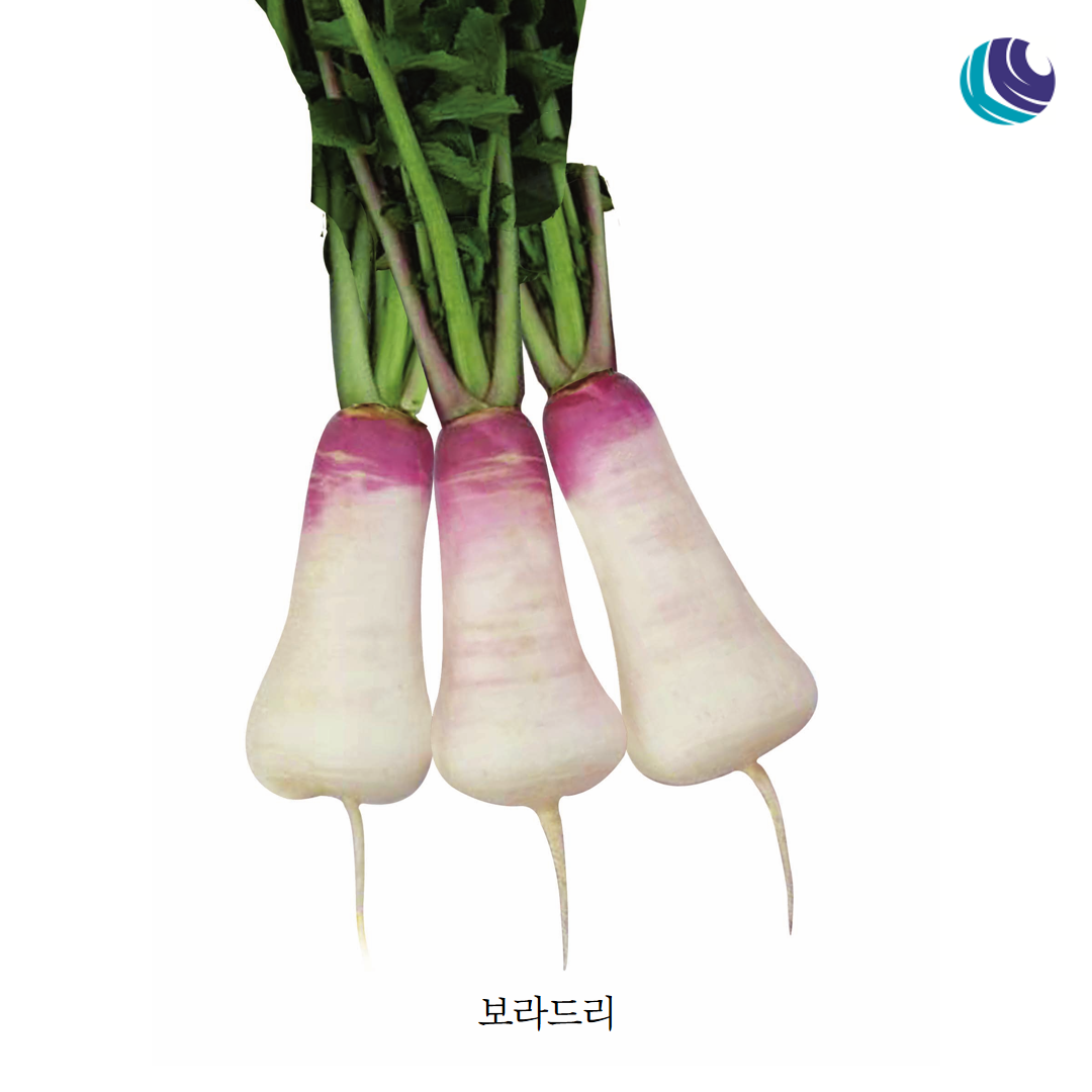 02dcbd9df9679.png