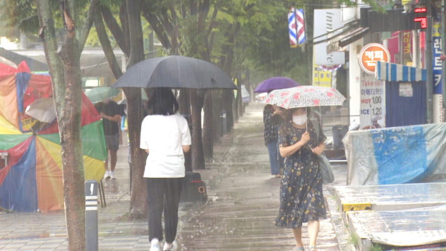 장마 시작 대비 텃밭 관리하기 : 농사정보
