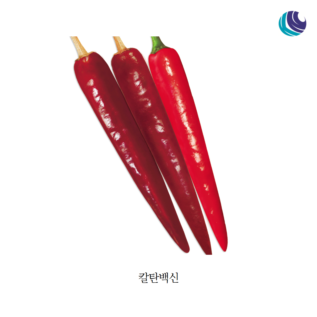 4c90791adbef0.png