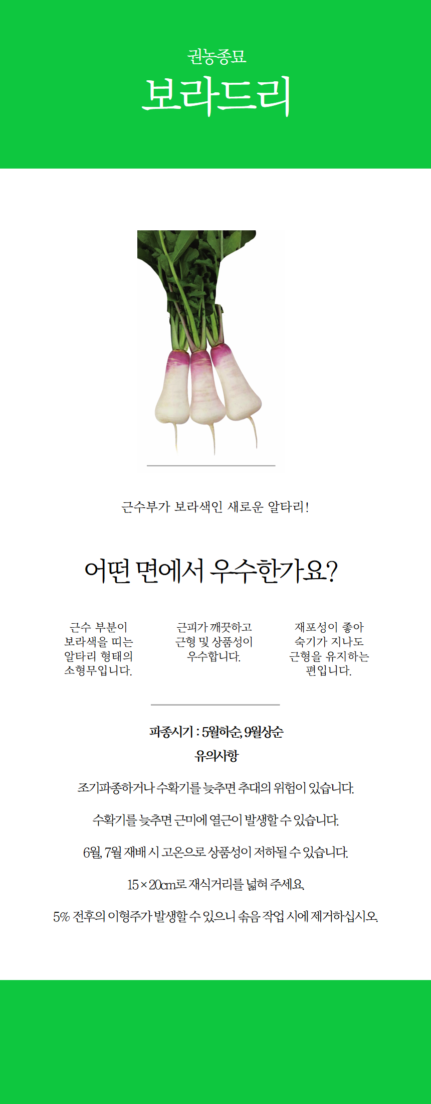 92d24b8238054.png