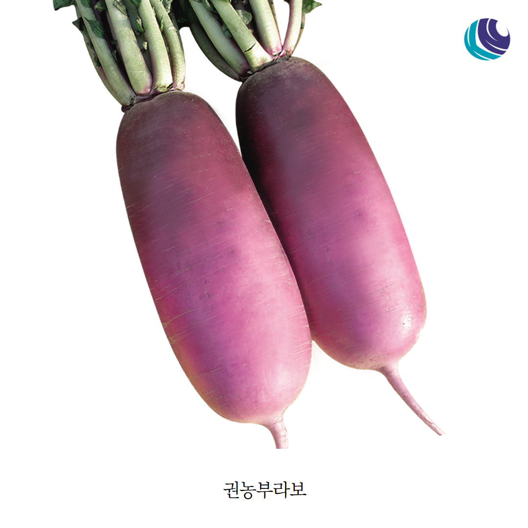 9ed826507c2f3.png