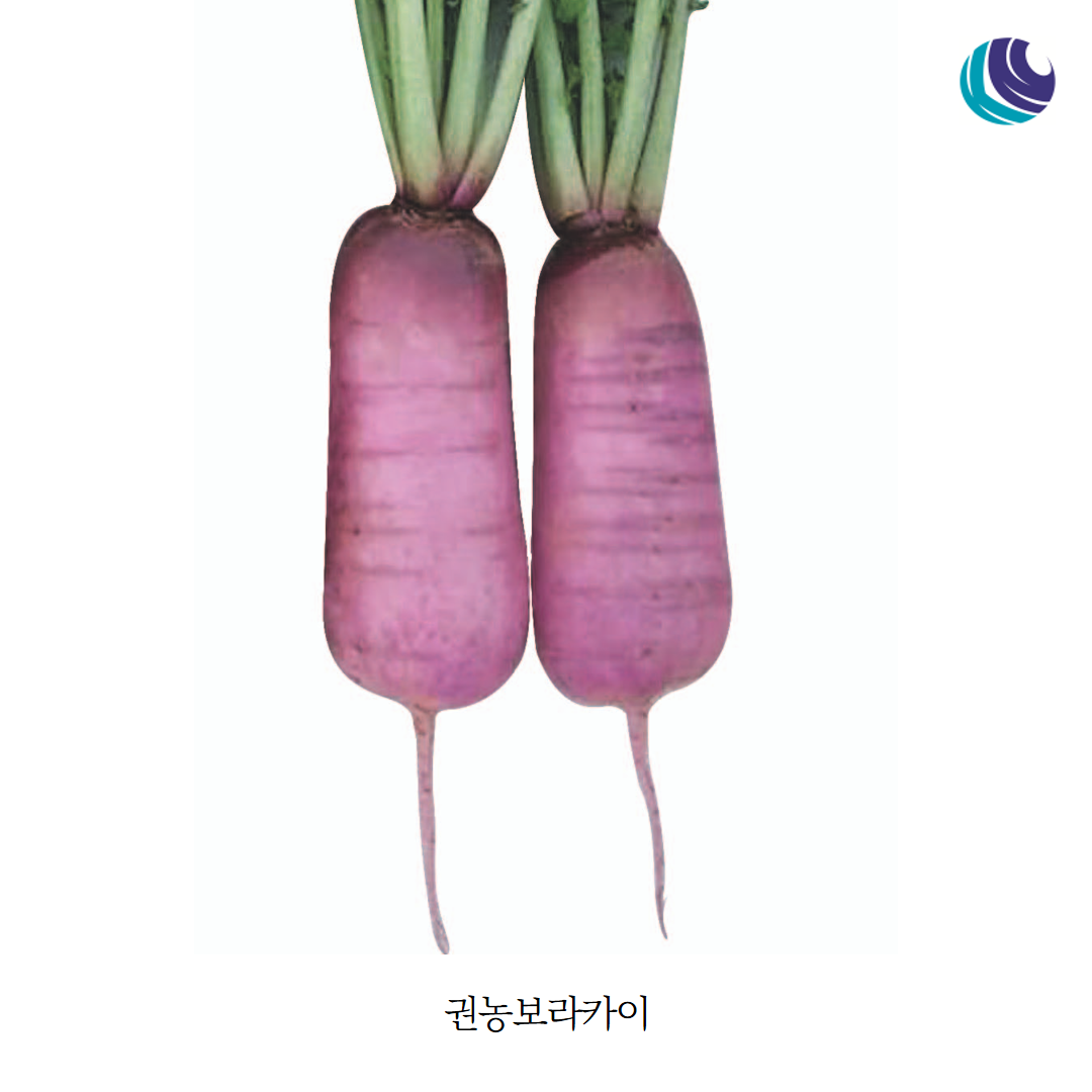 a33431295339a.png