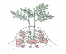 b898ef6518c5c.png