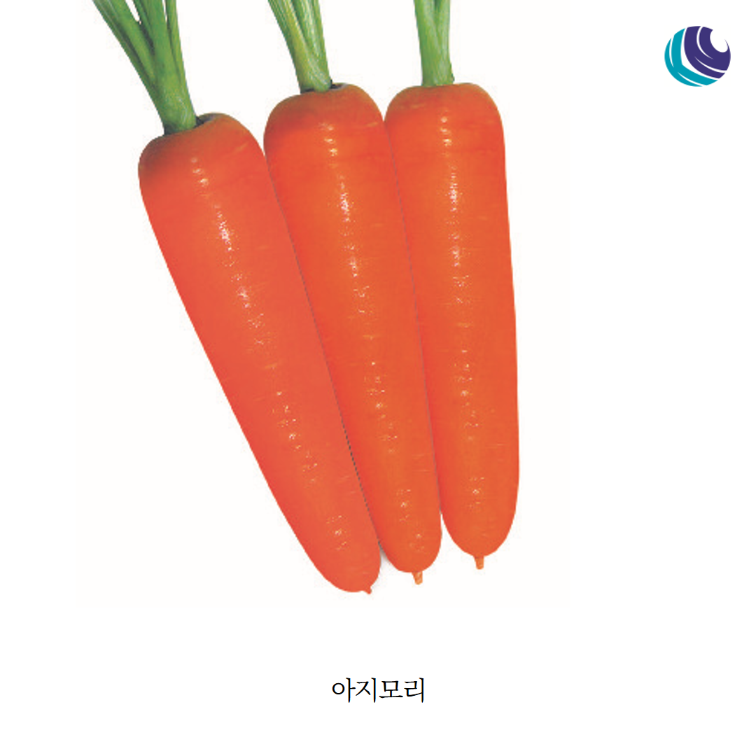 bb9e7f85bac51.png