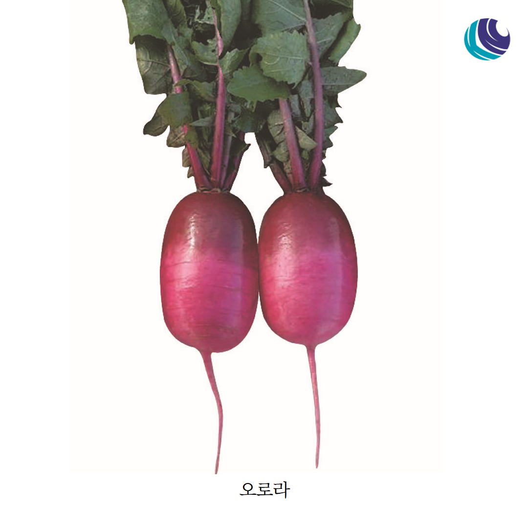 c317d00cec303.png