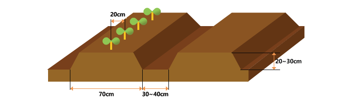 c5918d24684f6.png