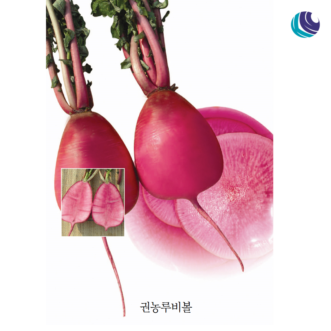 cd7fee7133708.png