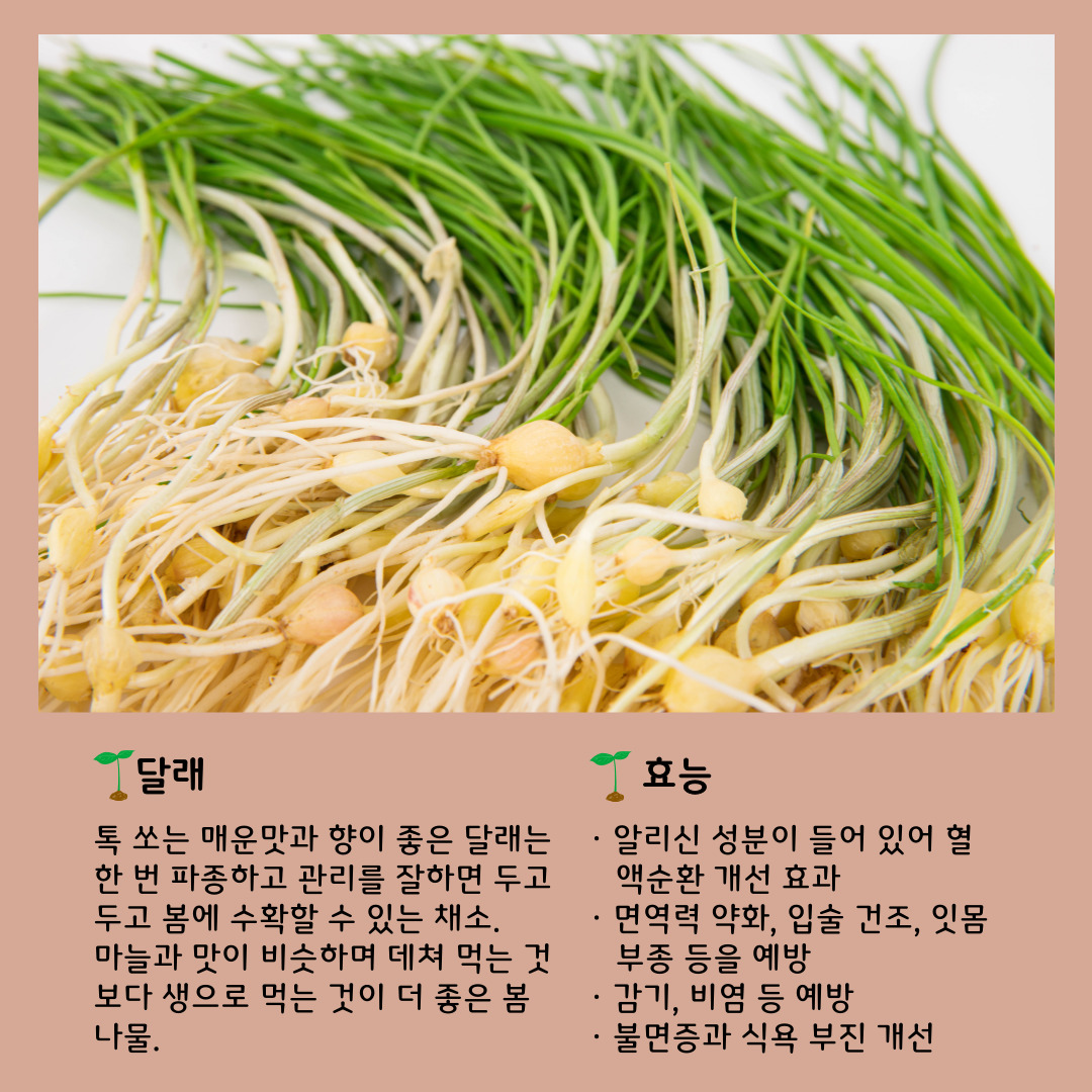 d828951f40ea5.jpg