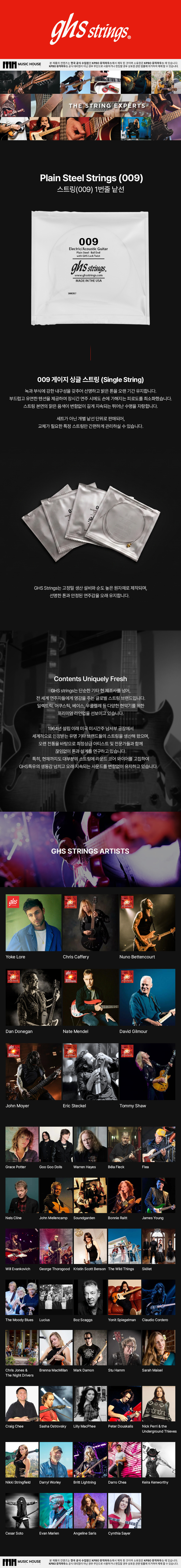 Singles - Plain Steel Strings (009)