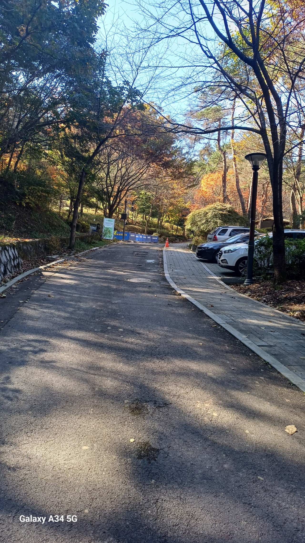 4d7b072591c3a.jpg