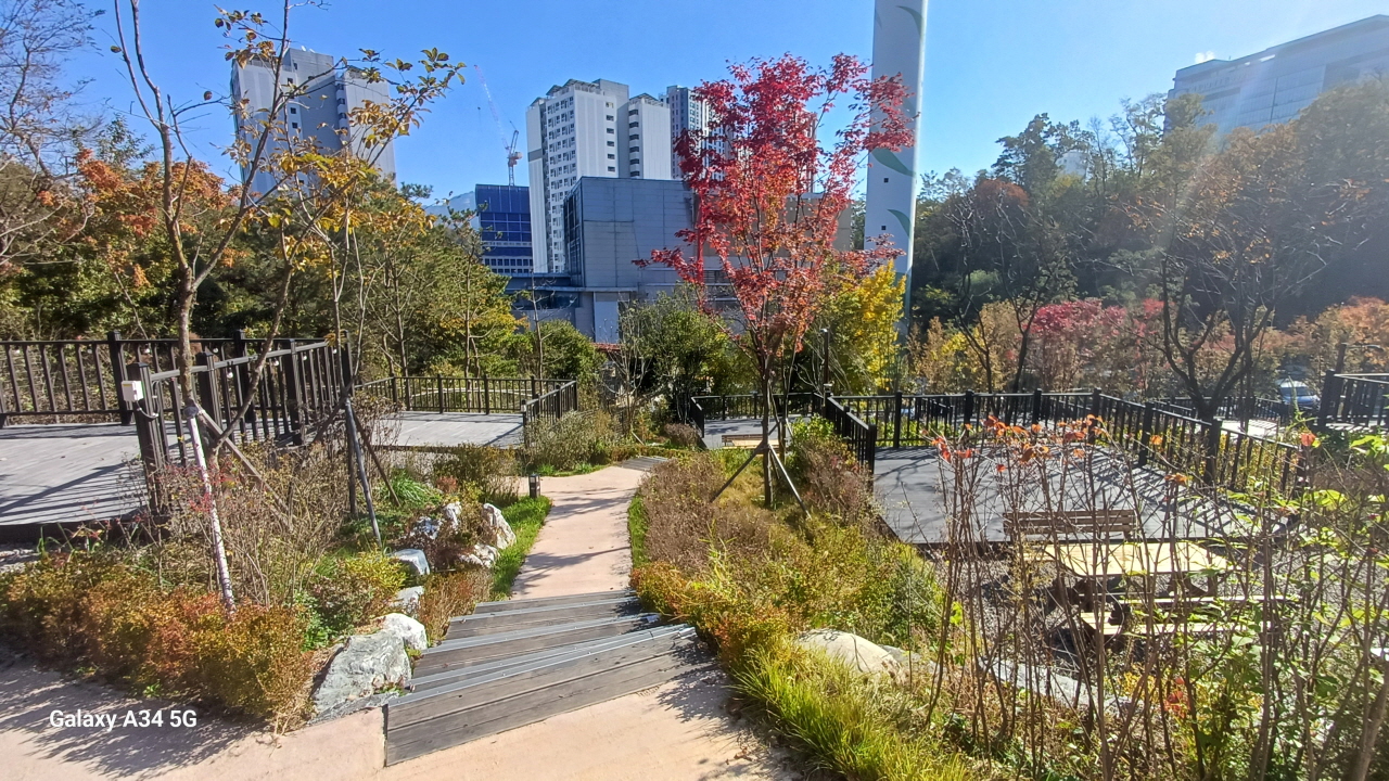 8546e0c7c0281.jpg
