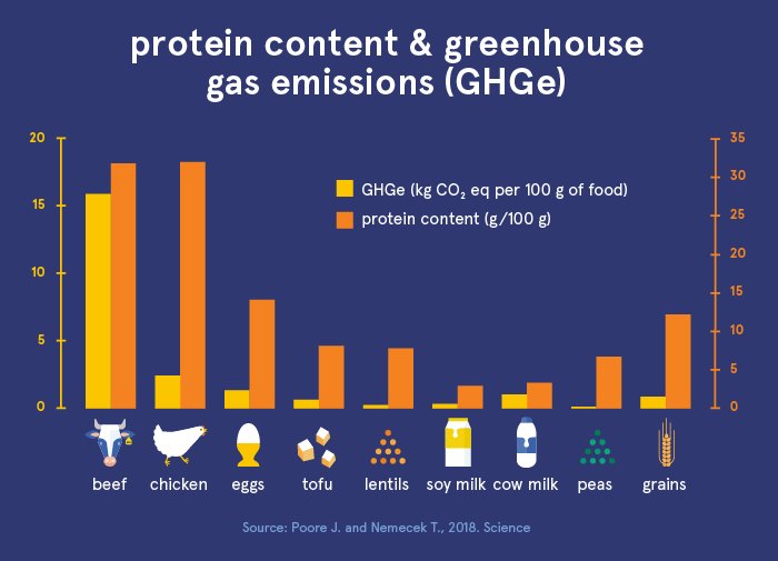 생산 된 온실 가스 배출과 관련된 식품의 단백질 함량