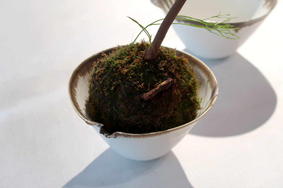 [oita x sarpu] 이끼 보울 Bowl, 흙빛