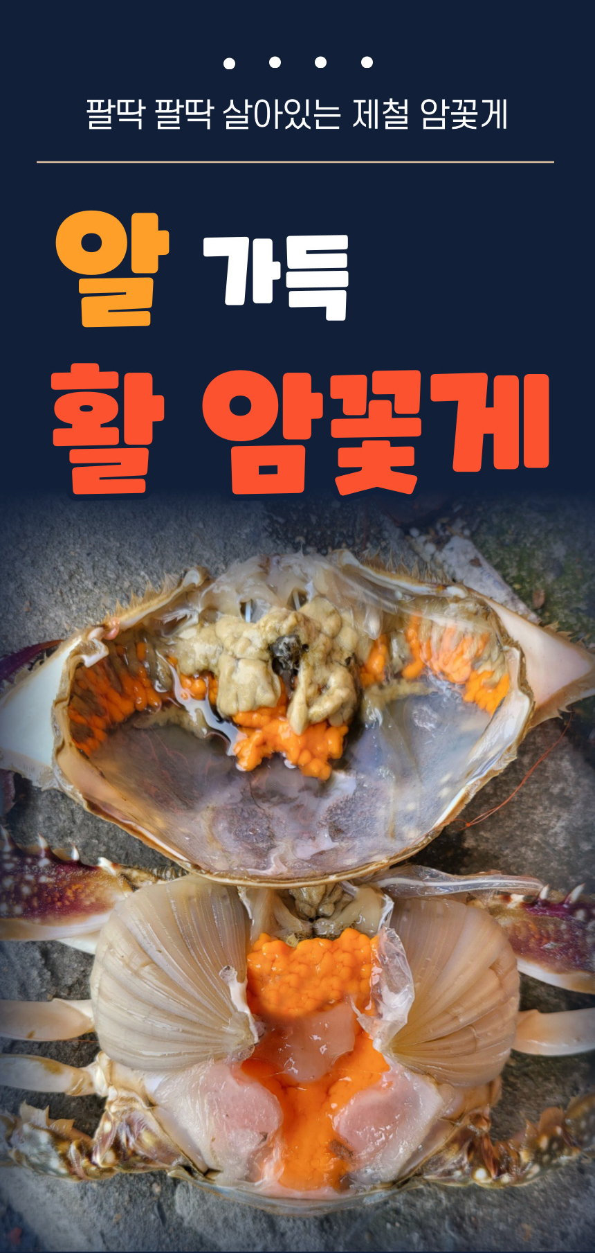 국산 활 봄 암꽃게 알배기 선동 숫 꽃게 1Kg 급냉 간장 게장용 암게 연평도 신진도 : 수라상궁