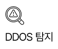 DDOS 탐지