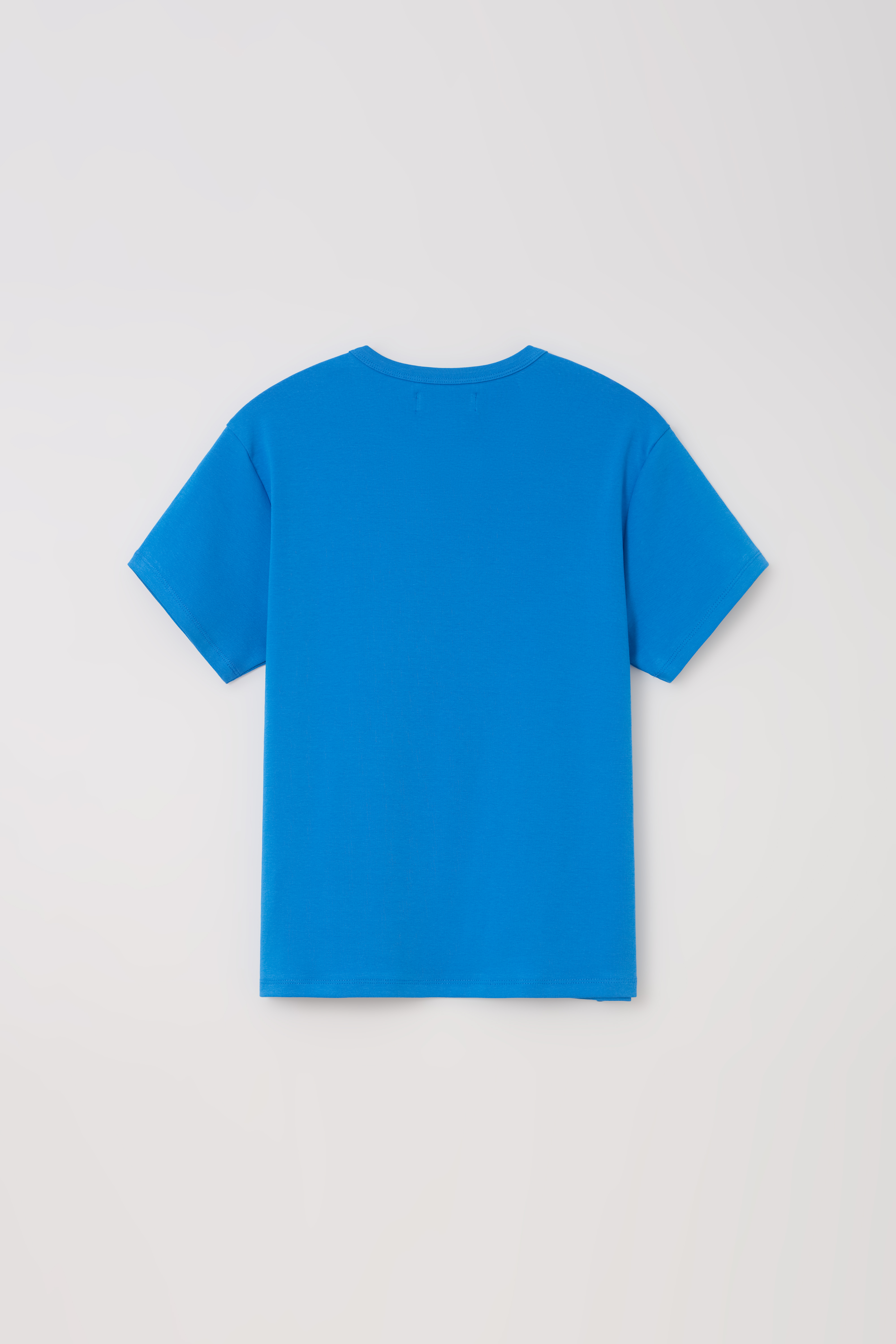 core t-shirt (blue)