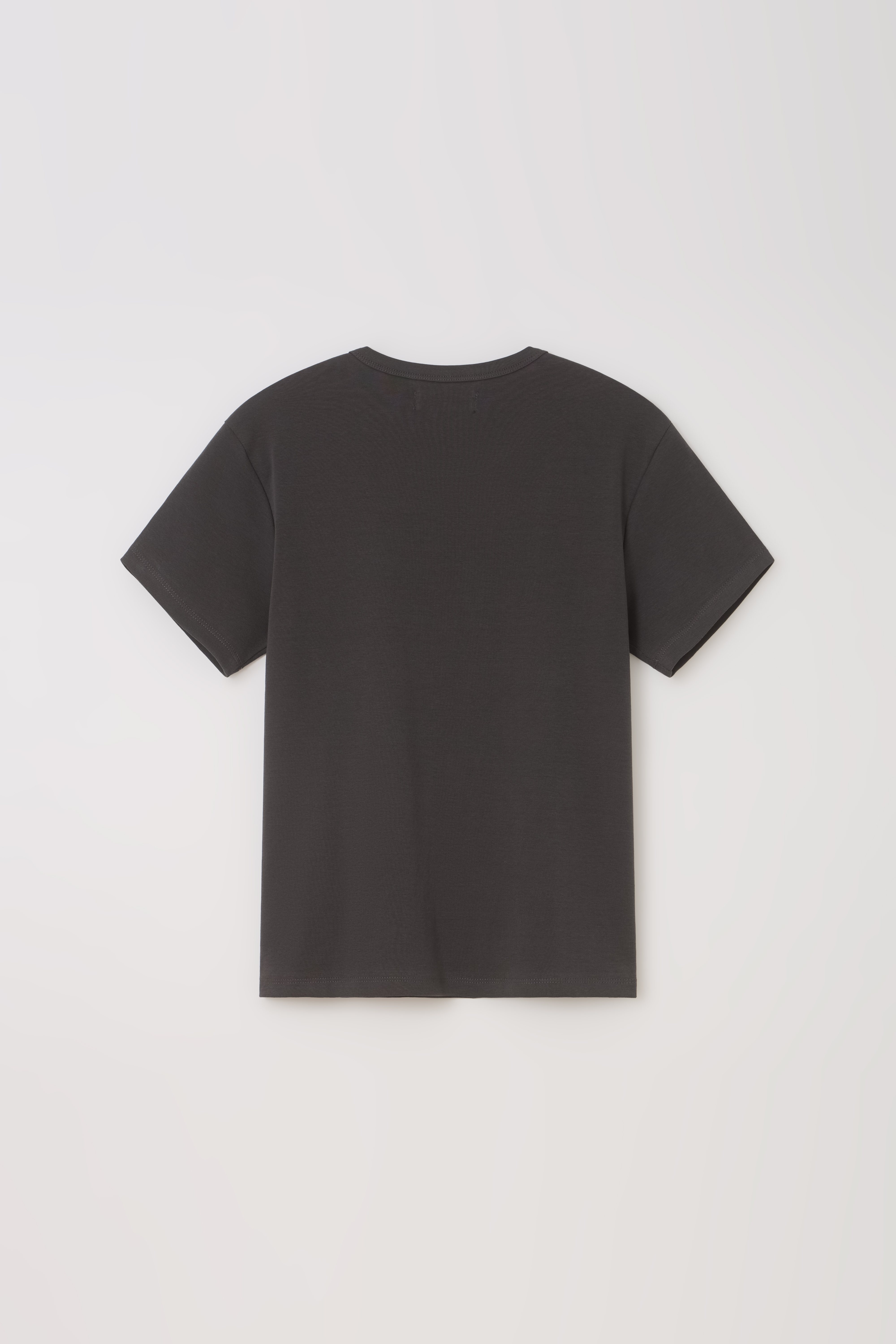 core t-shirt (charcoal)
