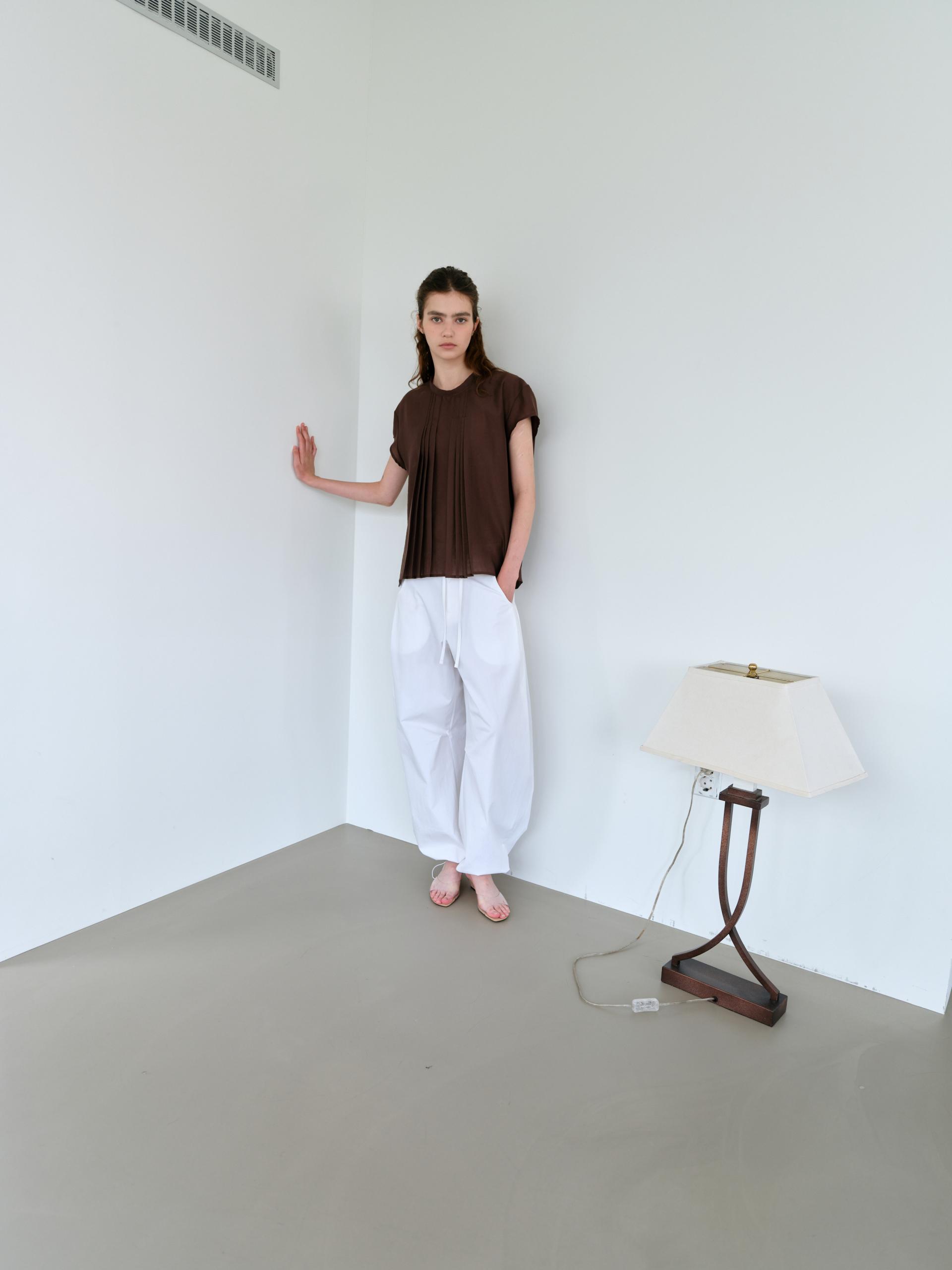 veil pleats blouse (brown)