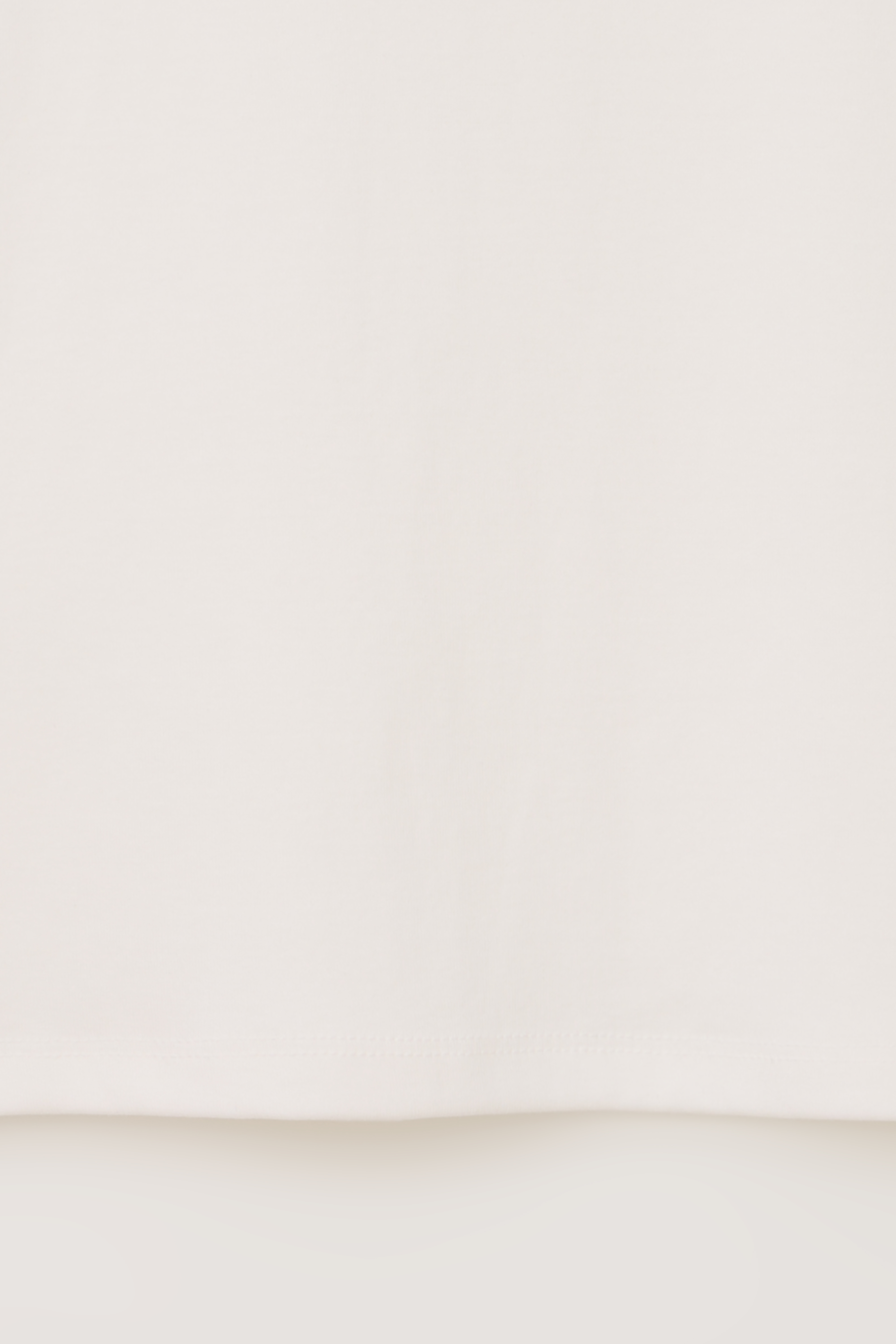 core t-shirt (white)