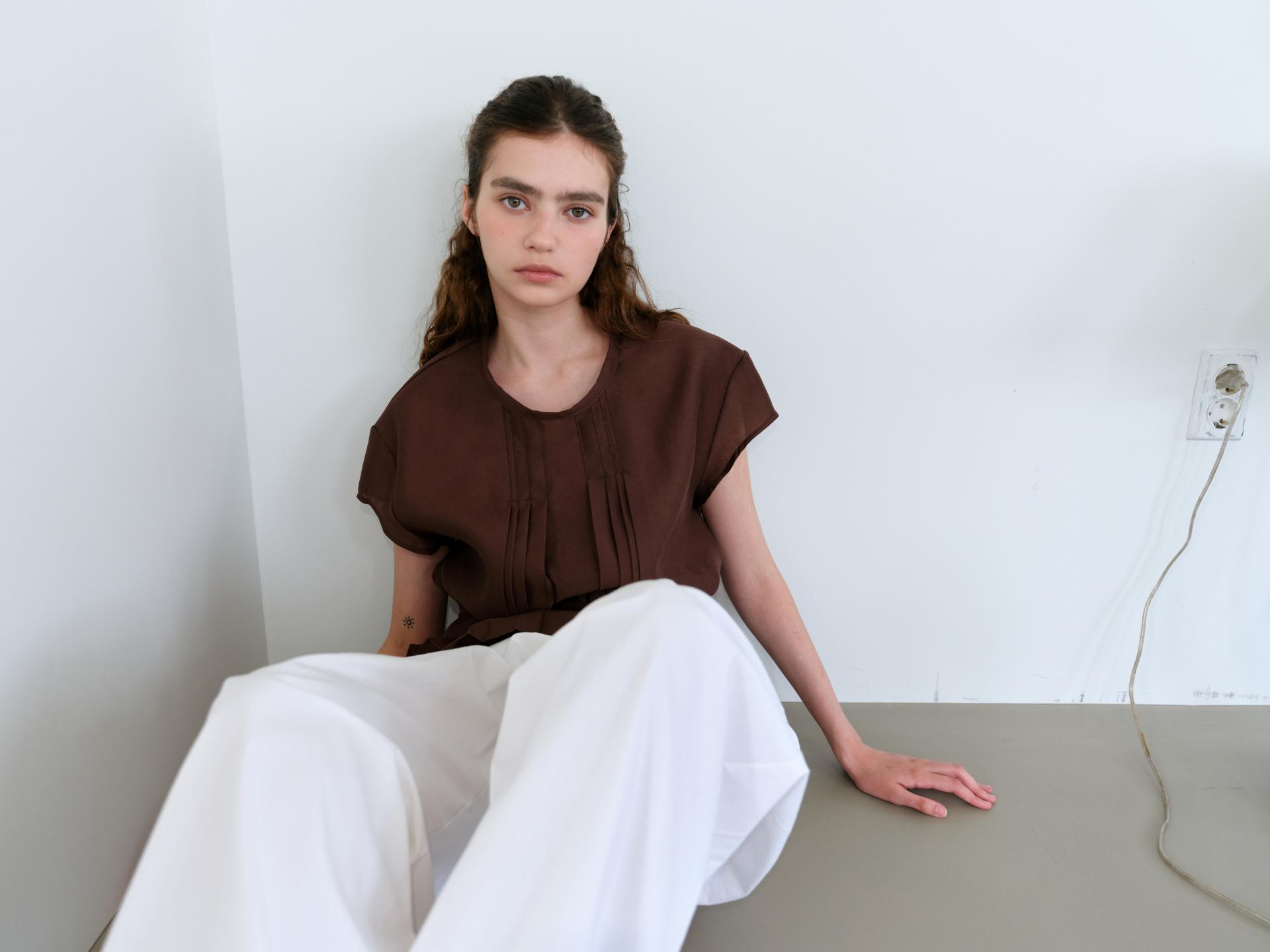 veil pleats blouse (brown)