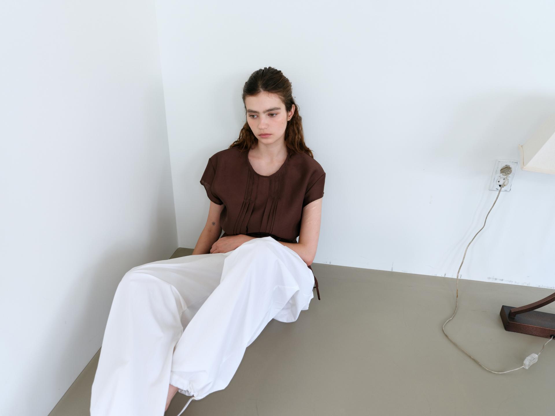 veil pleats blouse (brown)