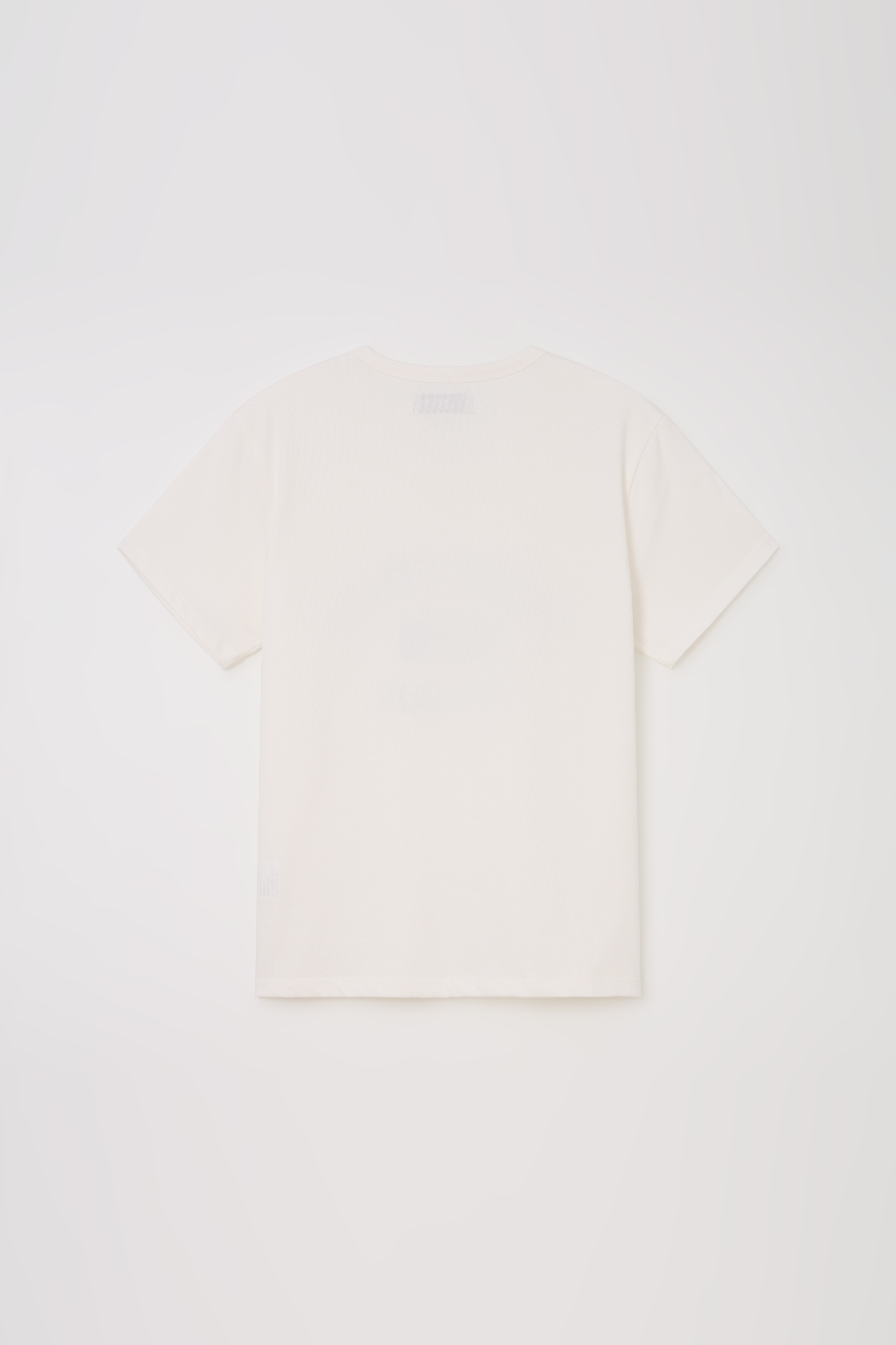 vintage form t-shirt (white)