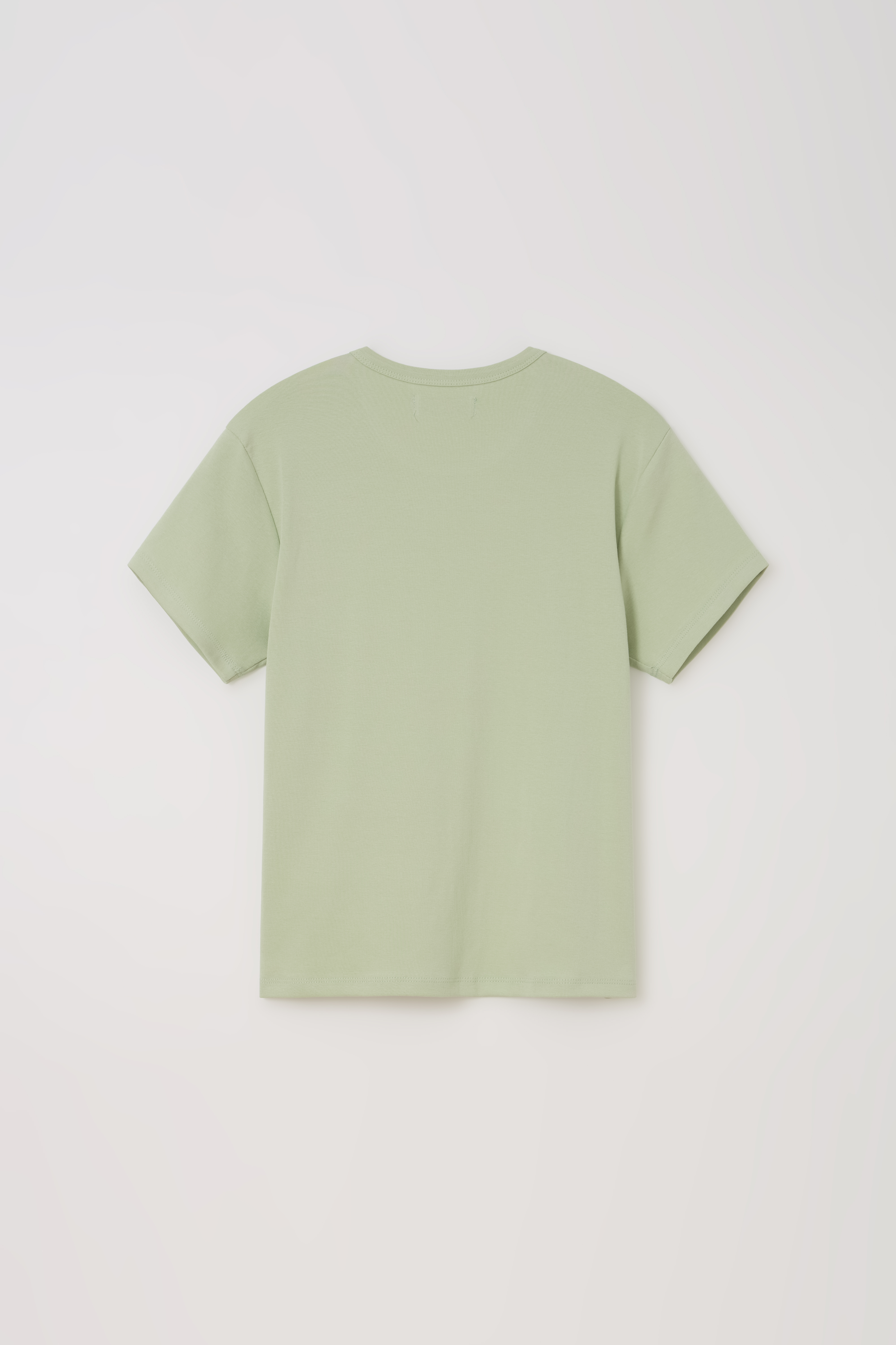 core t-shirt (sage green)