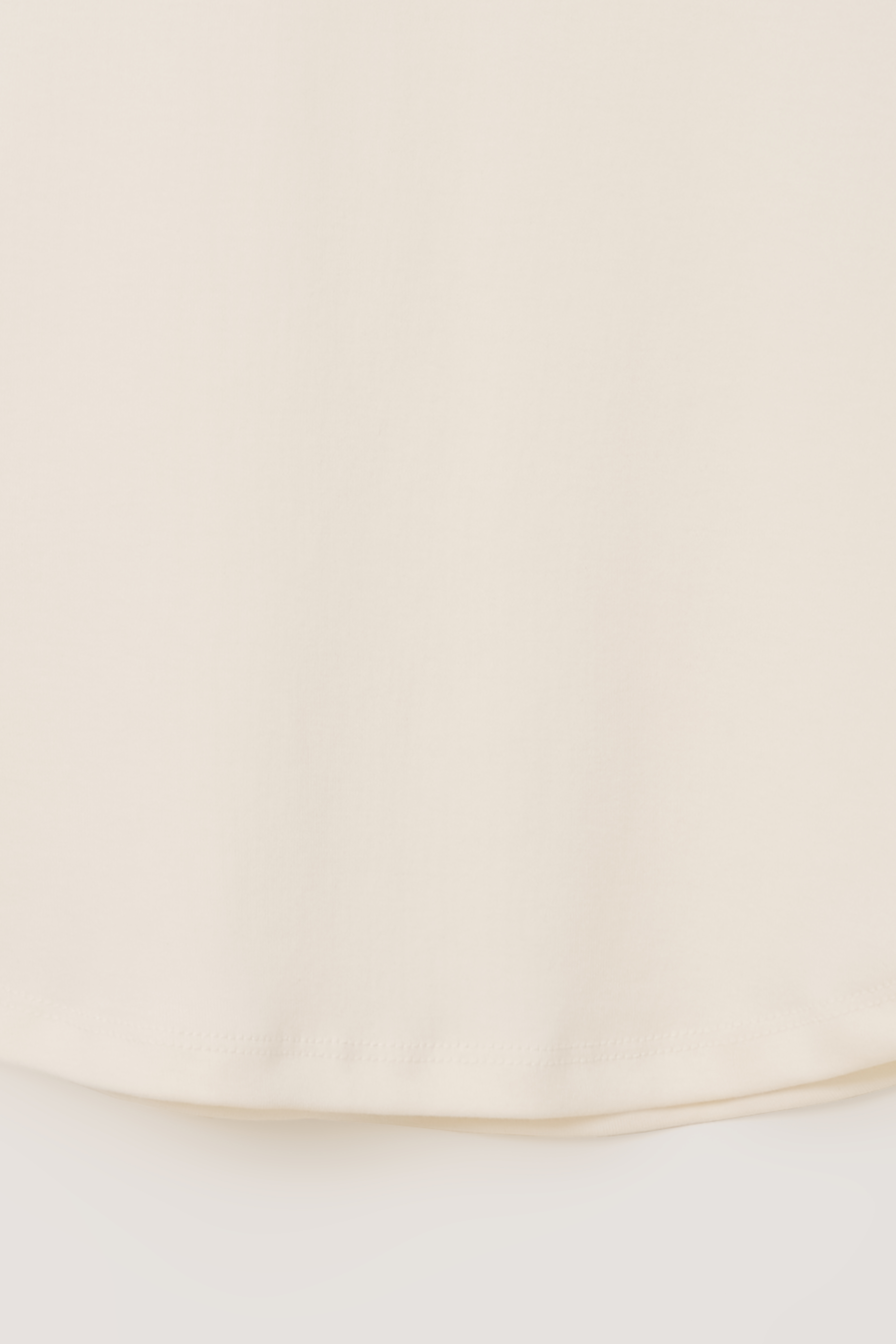 raw raglan t-shirt (blue)