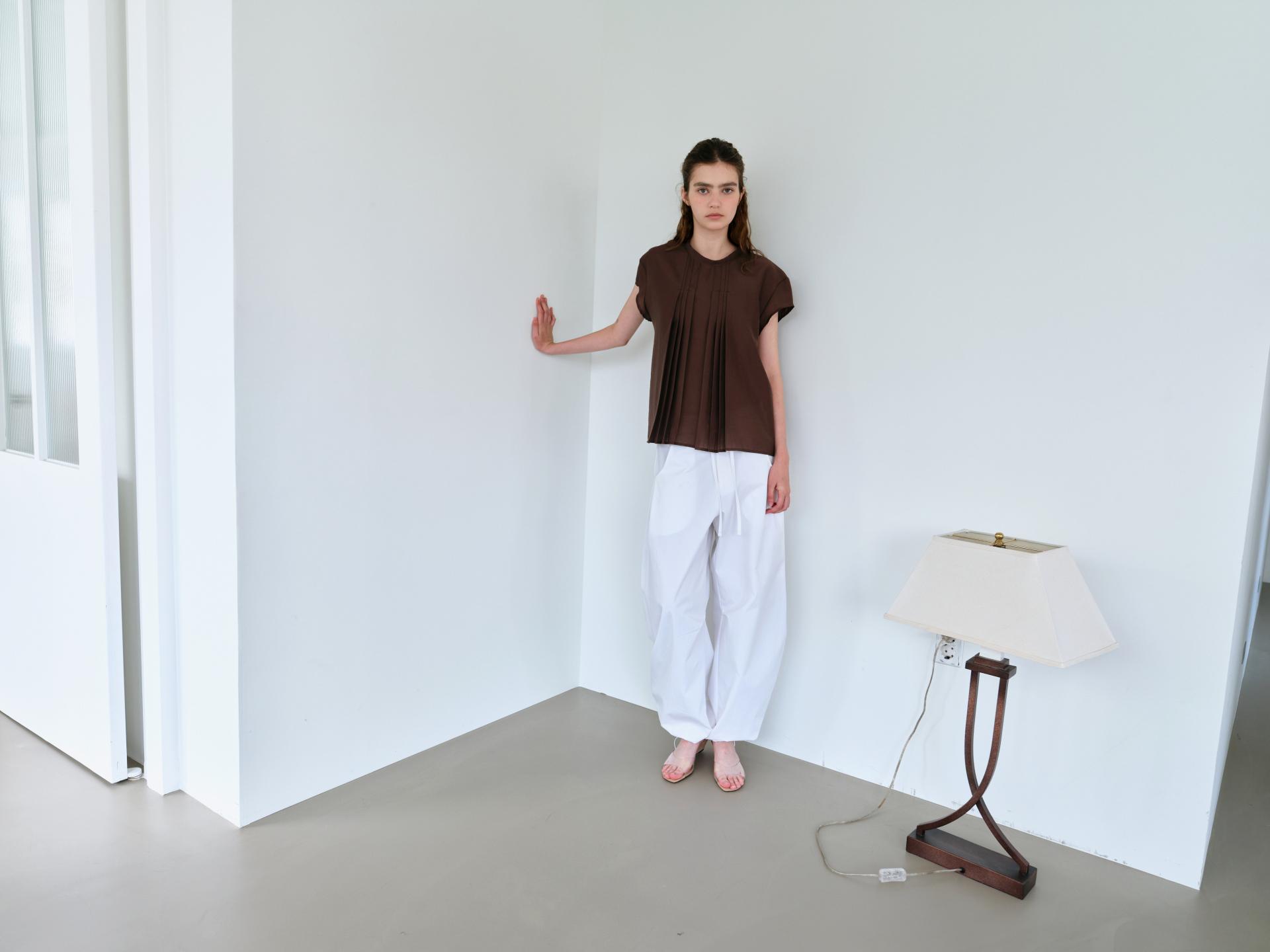 veil pleats blouse (brown)