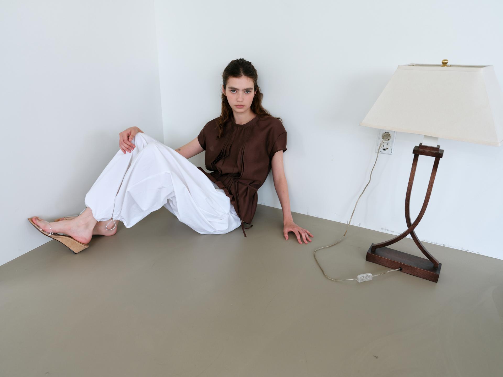 veil pleats blouse (brown)