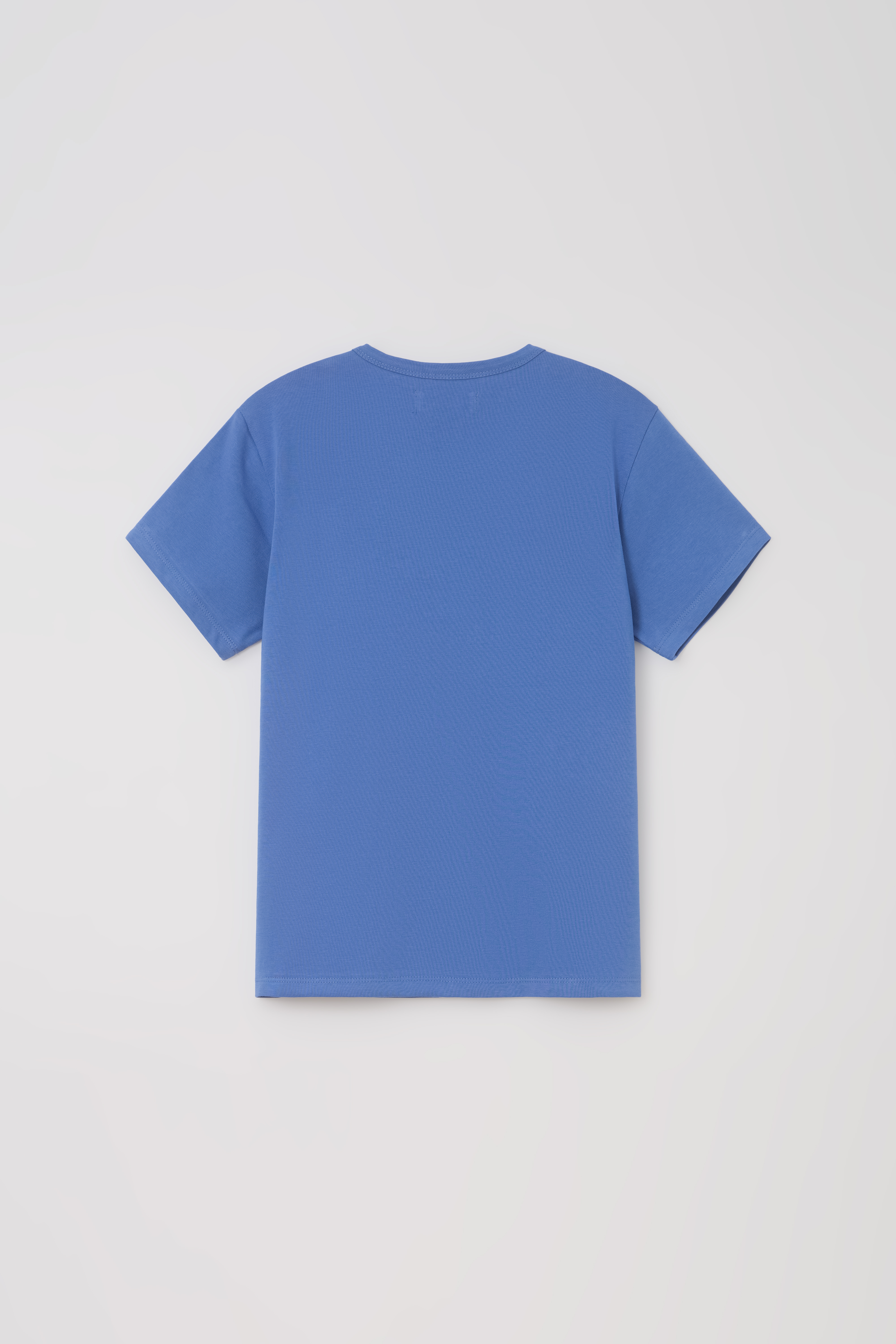 vintage form t-shirt (blue)