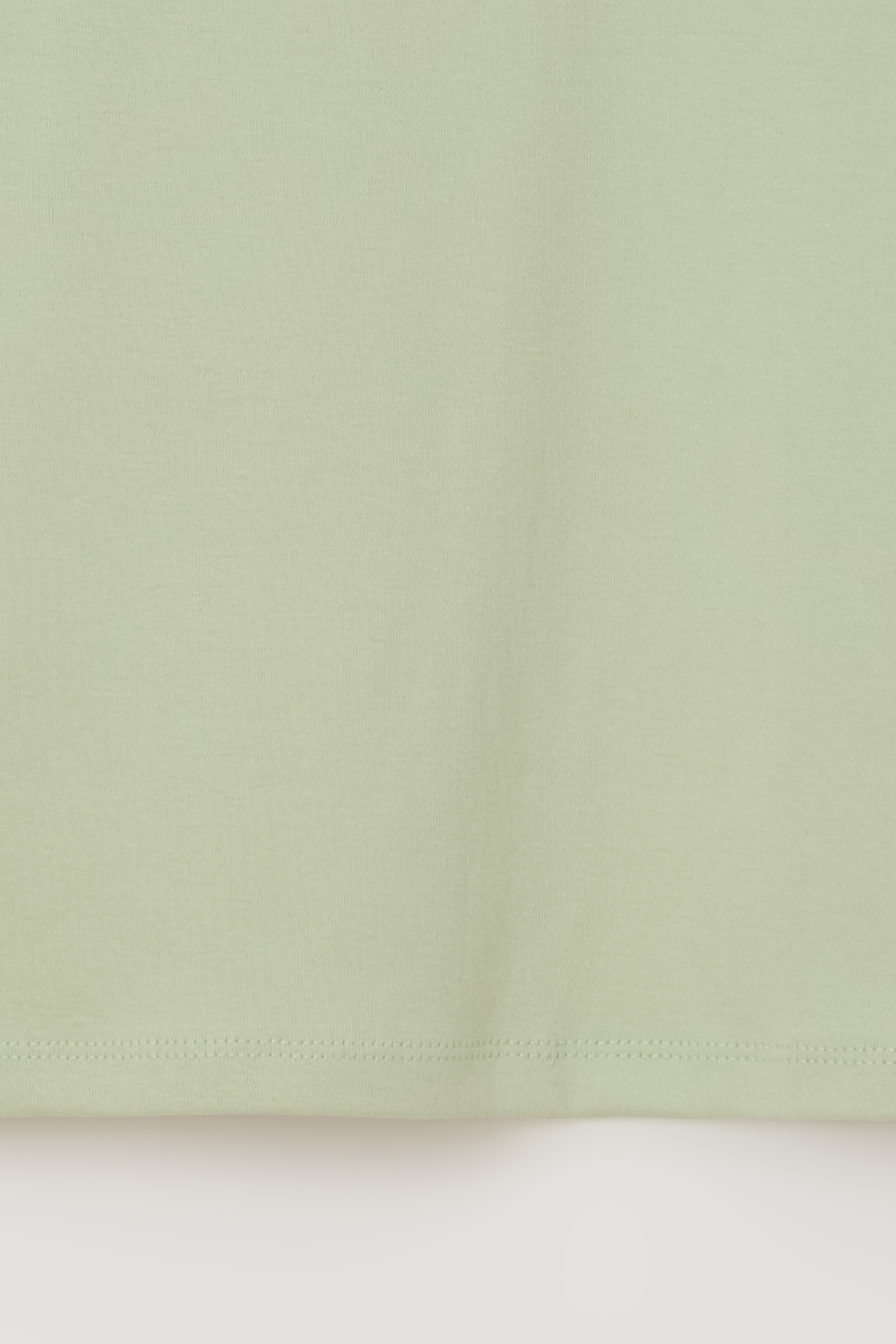core t-shirt (sage green)