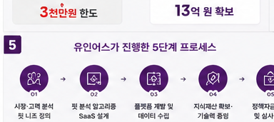 의류 도소매 기업 핏 분석 SaaS 전환 총 13억 확보 성공사례 - 유인어스 진행 5단계 프로세스