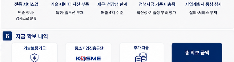 자동차 점검 검사소 DX 전환 총 6억 정책자금 확보 성공사례 - 자금 조달 결과 카드