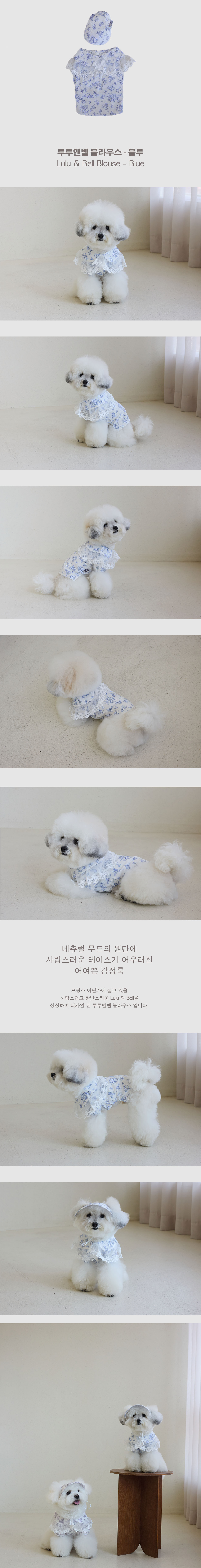 [Online release 4/21 15:00 ] 루루앤벨 블라우스 - 블루
