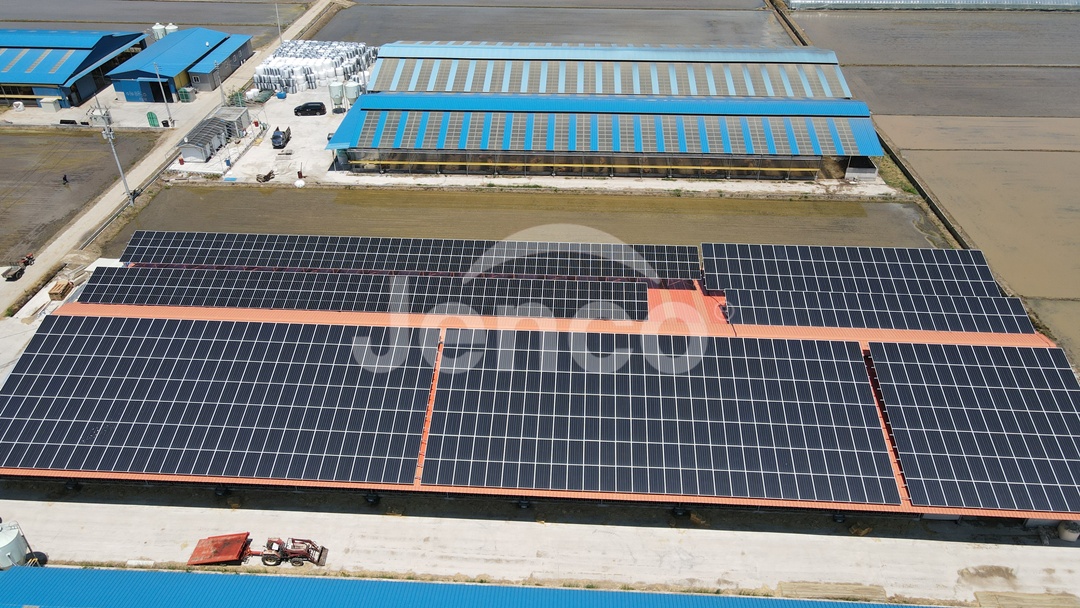 선진 800kW 축사 지붕 태양광 발전소