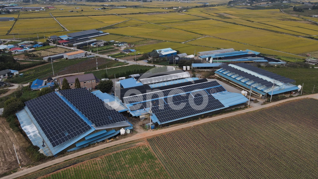 유일목장 600kW 축사 지붕 태양광 발전소