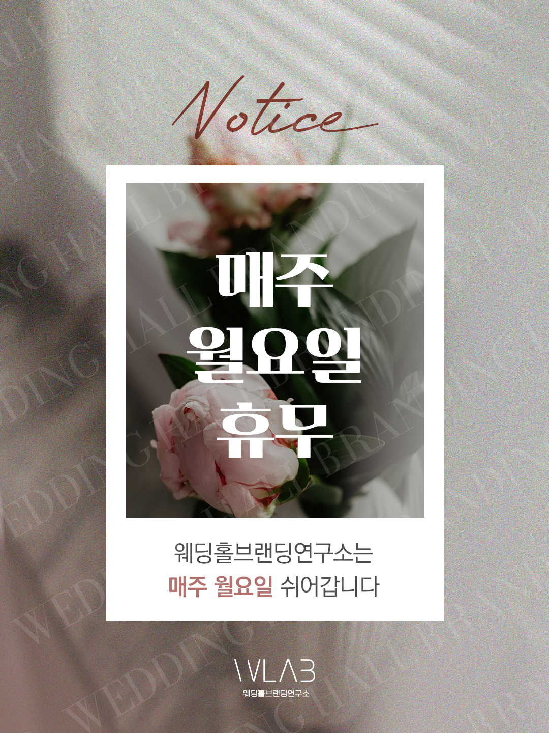 필름 무드 플라워 휴무 안내 팝업