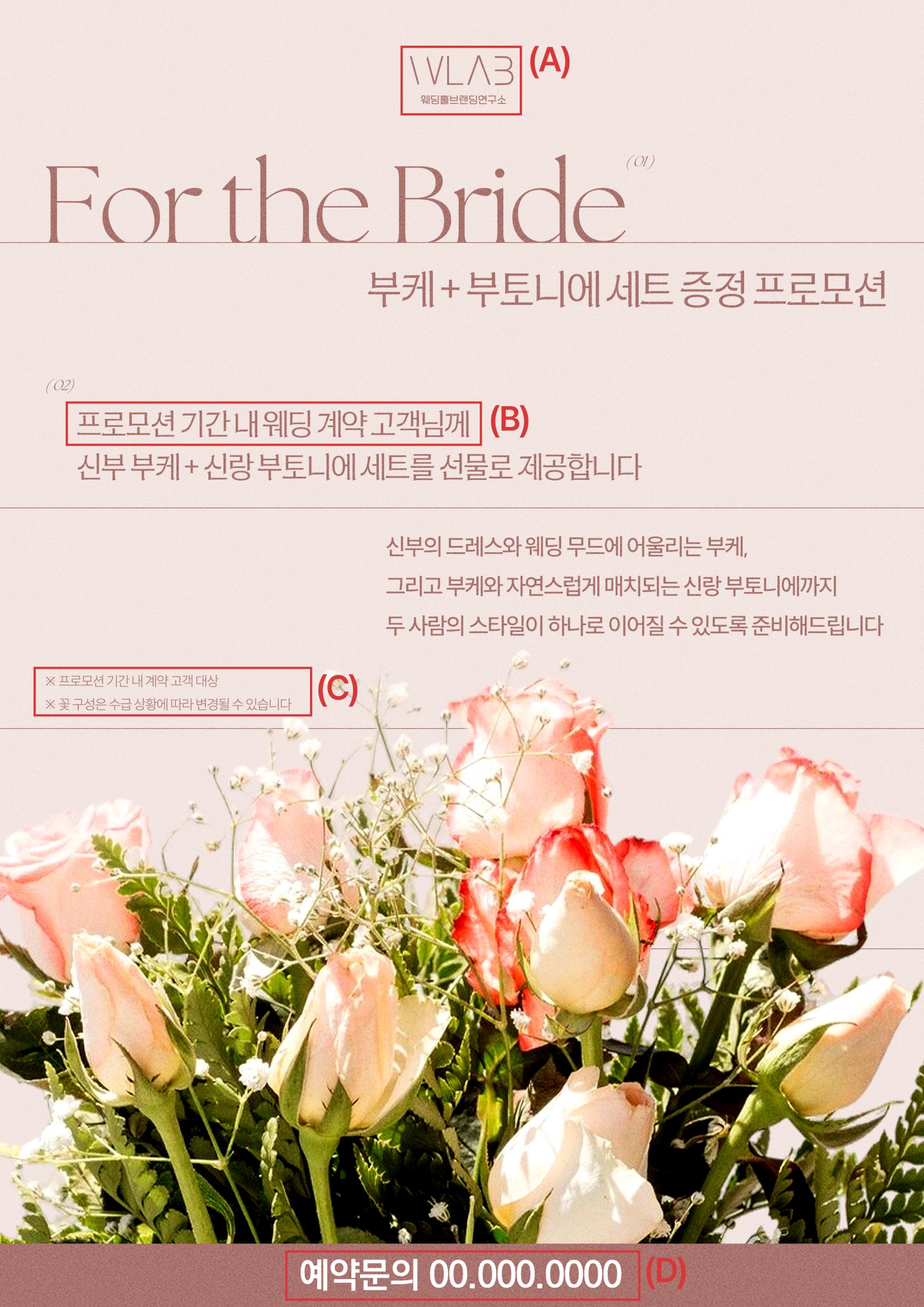 블루 컬러 스크립트 타이포 리뉴얼 프로모션