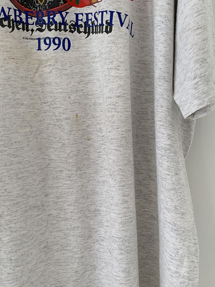 Vintage "GARDEN GROVE STRAWBERRY FESTIVAL 1990" USA T-Shirt