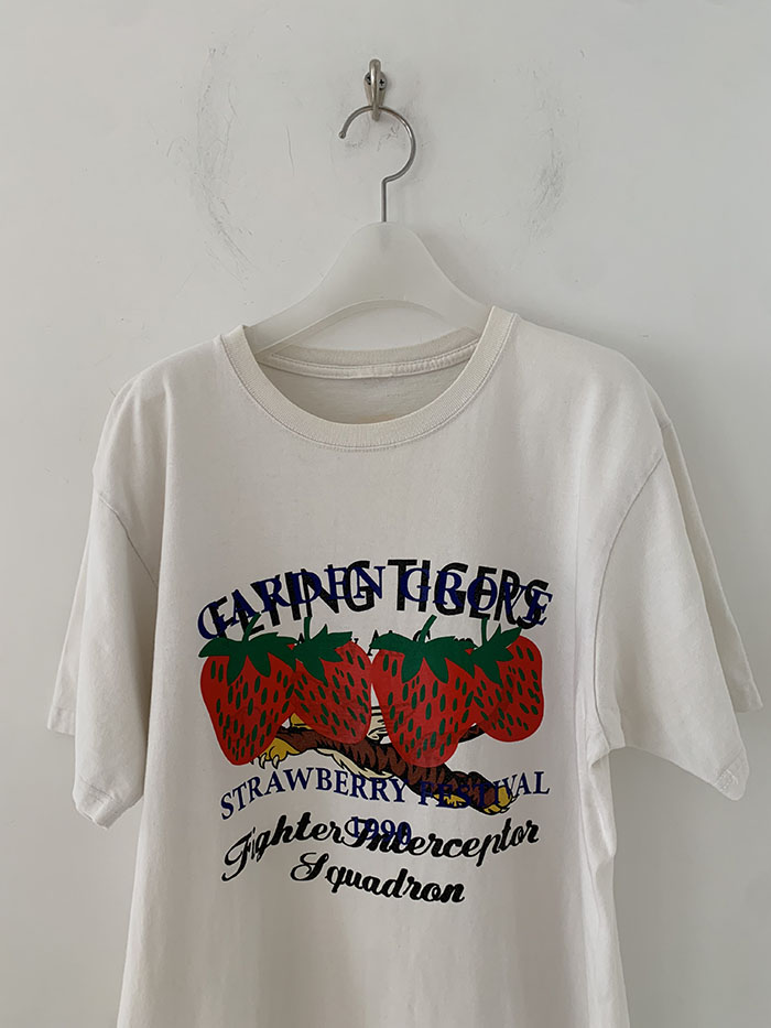 Vintage "GARDEN GROVE STRAWBERRY FESTIVAL 1990" 복제 복제